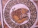 BARDO 00 (15)